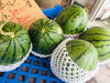 「スイカ（マダーボール）が入荷しています！【お肉・野菜・果物は清武町の黒木商店で♪】」