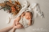 Newborn Photography「ニューボンフォトサービス変更のお知らせ」