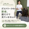 デスクワーク中の腰痛でお悩みの方は、骨盤・股関節・姿勢のバランスから今の体を確認してみましょう。「【草津市・南草津】デスクワークで腰が痛い方へ｜椅子やクッションだけで変わらない腰痛の原因」