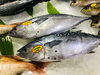 「魚魚市場鮮魚コーナーおすすめは「サゴシ・ヤイト」です♪」