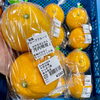「春堀りの長人参が入荷しました！」
