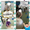 「力を合わせて!!キッズの森カワグチ運動会🔥💪」