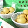 【高崎市】はるなフルーツラインで梨を購入できるお店まとめ