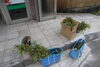 こんなに！！！いただきものも含みます(^-^;;;「「わらび採り」に初挑戦してきました☆」