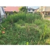 作業前！雑草がボーボーに生えてます！「伊丹市で空き地の草刈りをしました！」