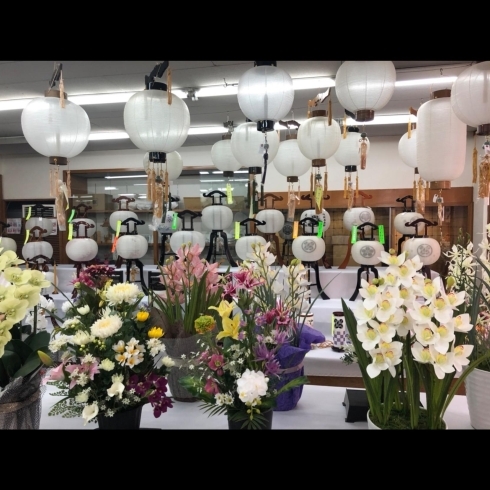 盆提灯 入荷しております 小さなお葬式 甲斐花輪 提灯 株式会社甲斐花輪のニュース まいぷれ 延岡 日向 門川 西臼杵 盆提灯 入荷しております 小さなお葬式 甲斐花輪 提灯 株式会社甲斐花輪のニュース まいぷれ 延岡 日向 門川 西臼杵