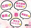 「春のオススメコース♪」