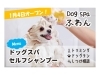 Dog Spa ふわん ペット まいぷれ 出雲