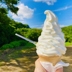 札幌市南区の美味しいソフトクリーム・アイスクリーム・ジェラート特集