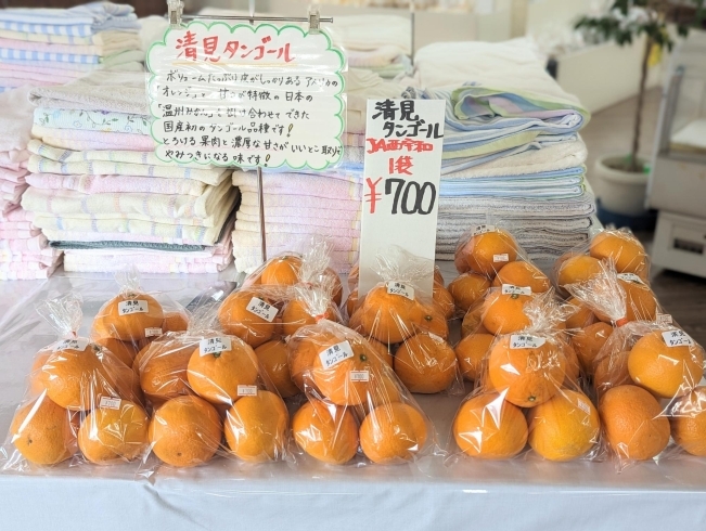「【西条市 小松町明穂】りんりんパークーさんでは柑橘類も販売されています！」