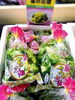 「菜の花　畑」