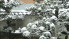 「雪の中の雀～♪」
