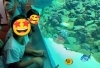 「✨🐟葛西臨海水族園🐟✨」
