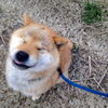 「無料体験レッスンウィーク♪」