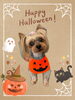 「Dog salon mofu mofu　余市町」