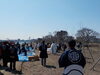 「お台場 鳥の島さくら プロジェクト」