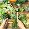 寄せ植えも承ります♪「はなや皆生店」