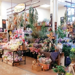 店内に色々な花や観葉植物を置いています。「はなや皆生店」