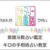 ギャラリー天夢結【tenmus】