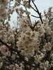 「3月も終わりますね・・・」