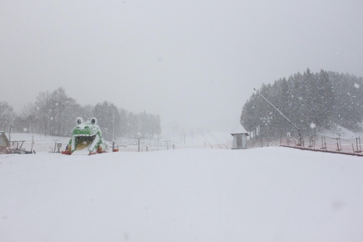 「雪の予報ではなかったですが・・・」