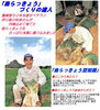 「島らっきょう」