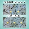 本格発毛育毛スカルプケア横浜市「8回の施術でここまで変わる!?後ろ姿に自信が持てる美髪へ!」