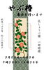 「やぶ椿展開催」