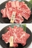 五苑に来たならまずはこれ！
タレがしみ込んだアバラとハラミ「焼肉五苑 フライブルク通り店」