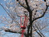 「立ち食い寿司の桜すしです(^^♪　牧野駅前ロータリー内」