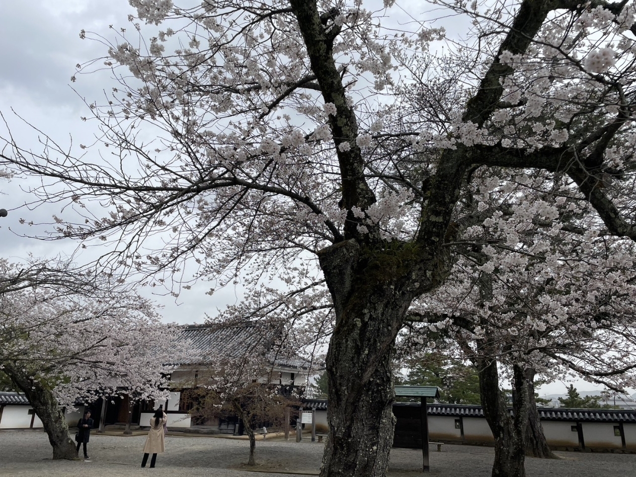 松江城山公園  松江市殿町