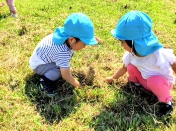 遊びの魅力を示して、子どもたちの「やってみたい」を創出します「＆KIDSいろのはほいくえん」