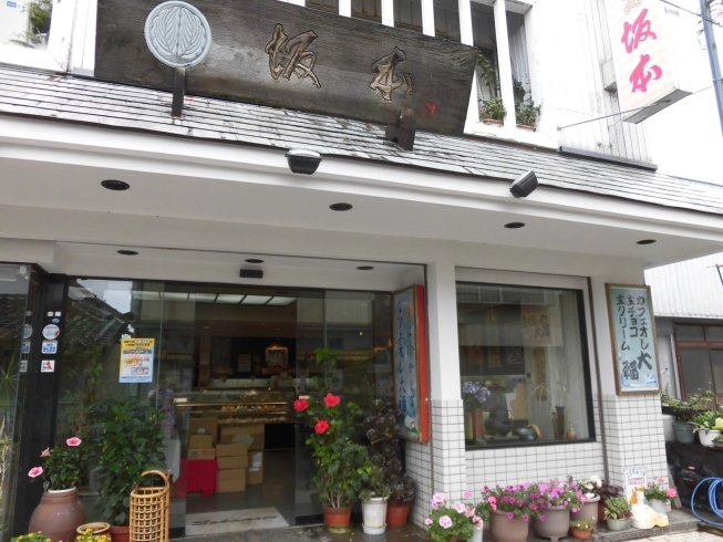 「菓子処 坂本」三代に渡って地元に愛される和菓子・洋菓子の店！！