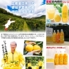 「🍊新鮮な産地直送❗🍊 『日本中に美味しい 　愛媛をお届けしたい！』」