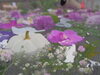 おや？こんなのも浮いてます笑。「秋の花手水その② 始まりました。」