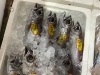 「魚魚市場鮮魚コーナーおすすめは「エビスダイ」です♪」