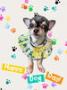 「Dog salon mofu mofu　余市町」