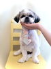 はじめまして。アソくん「はじめまして」
