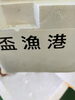 珍しいアオリイカ「今朝の仕入れ　(珍しいもの)」