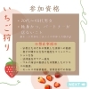 「恋活サークルいちご狩り🍓in静岡市#恋活イベント#恋活飲み会#恋活サークル」