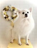 ＣＯＣＯちゃん「Spring flower」