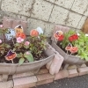 ハロウィンモチーフの花壇　/小樽　工賃高い「アクセサリーチーム、一人一人の個性的な作品　/小樽就労継続支援B型　らしくワーク」
