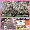 「外でわいわいバーベキューって楽しそう♪」