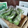 リーフレタス「一週間ぶりにアーバンファーム八王子さんの野菜入荷！にんじん　ほうれん草　リーフレタス　ベビーリーフ　八王子産　八王子市　八王子駅　802SKYSHOP 　」