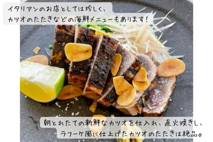 New Openページ更新しました 高知の新店ご紹介 まいぷれ高知編集部のニュース まいぷれ 高知 New Openページ更新しました 高知の新店ご紹介 まいぷれ高知編集部のニュース まいぷれ 高知