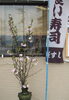 「立ち食い寿司の桜すしです(^^♪　牧野駅前ロータリー内」