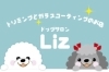 「ドッグサロン Liz（リズ）」メディカルトリマーが在籍し、ペットの健康を第一に考えます。