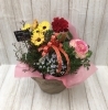 寄せ鉢（寄せカゴ））「春の寄せ植え　寄せカゴ」