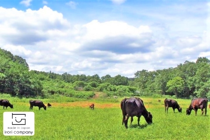 「株式会社いろりカンパニー」和牛の生産を通じて、新見地域の活性化に取り組んでいます！