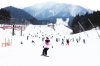 「いぶきの里スキー場」雪シーズンがやってきた！　子どもも大人も笑顔になれる場所。